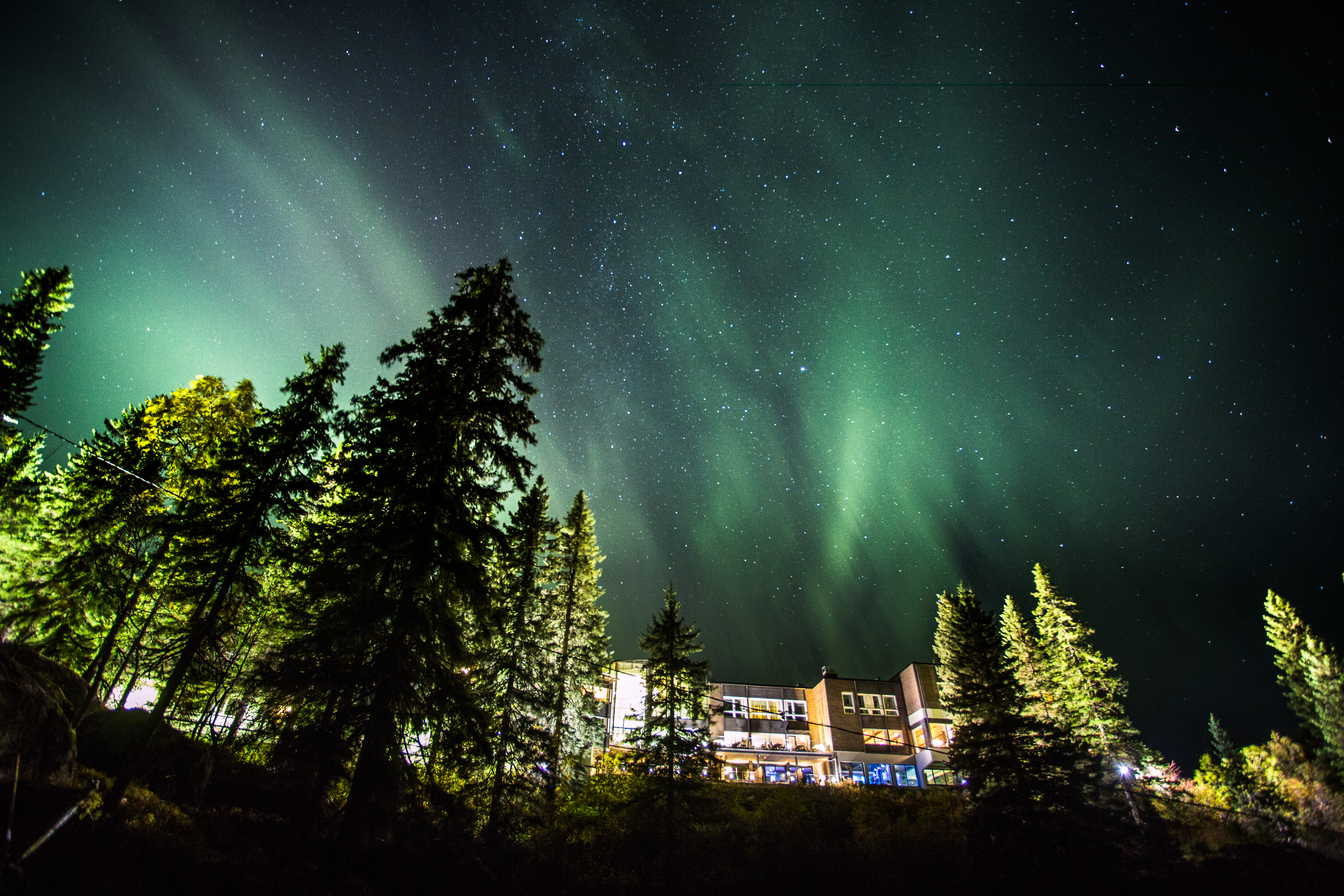 Koli aurora