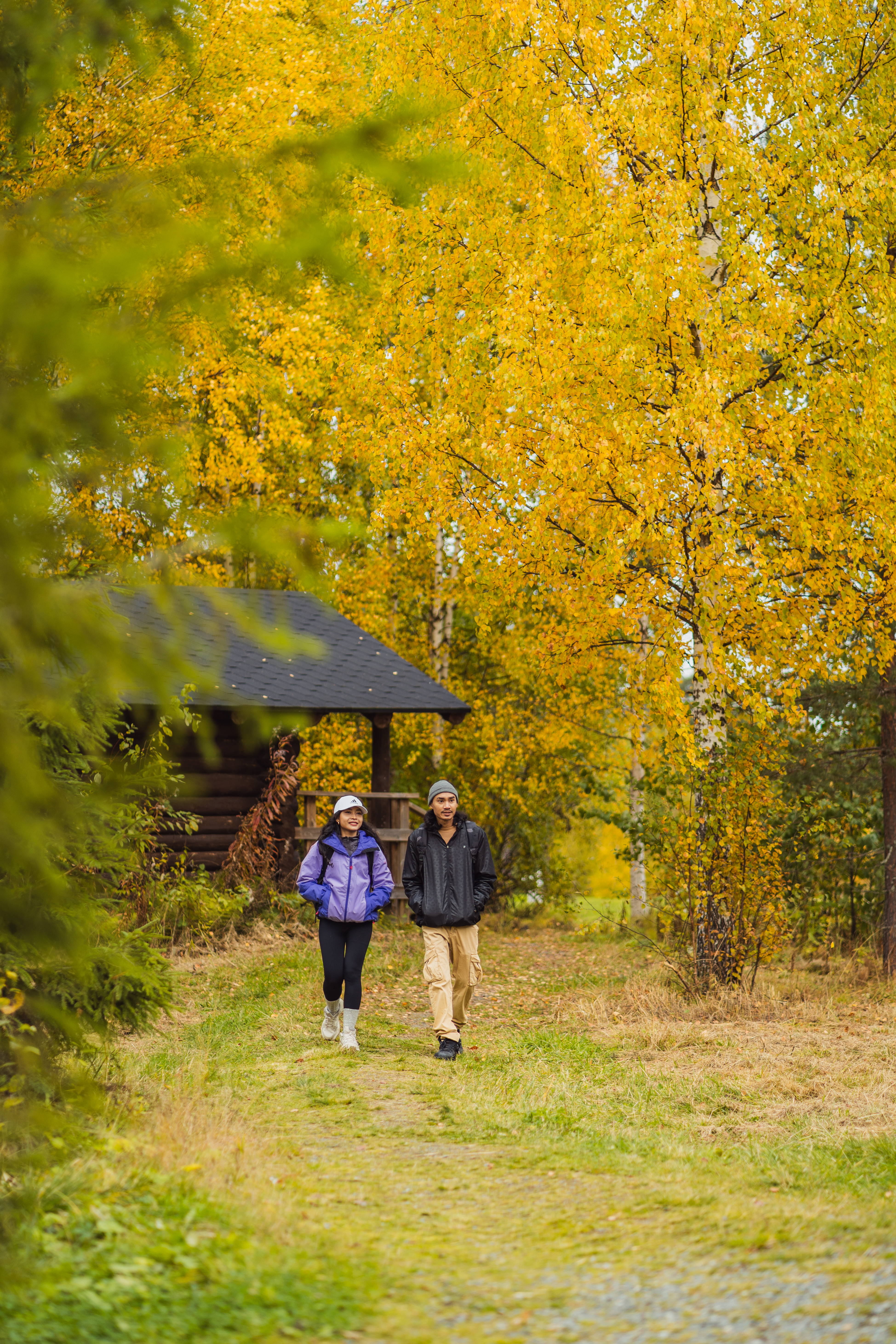 Tahko autumn vertical