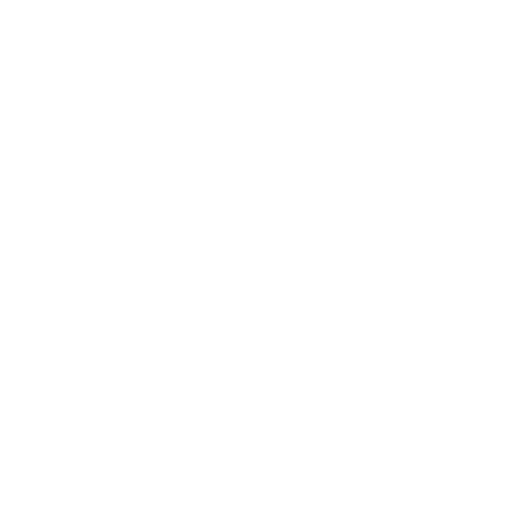 Travel.fi logo